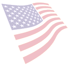 pic of the American flag